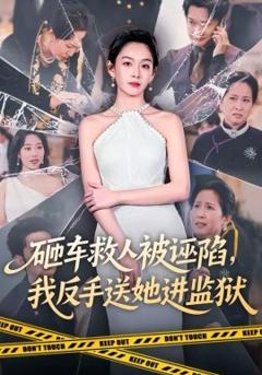 《砸车救人被诬陷，我反手送她进监狱》