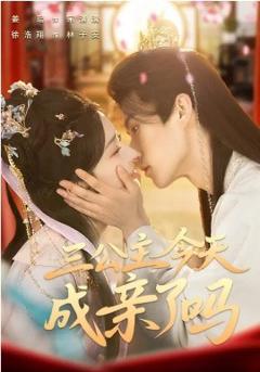 《三公主今天成亲了吗》