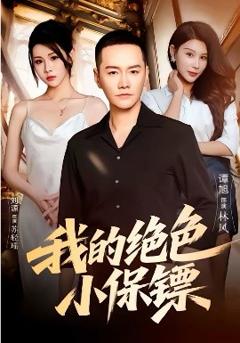 我的绝色小保镖
