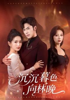 《沉沉暮色向林晚》