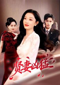 《贤妻凶猛》