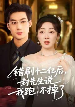 《错刷十二亿后，封先生说我跑不掉了》