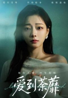 《爱到荼蘼》