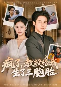 《疯了，教授给我生了三胞胎》