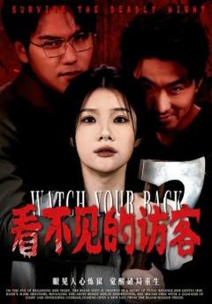 《看不见的访客》