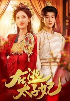 《在逃太子妃》