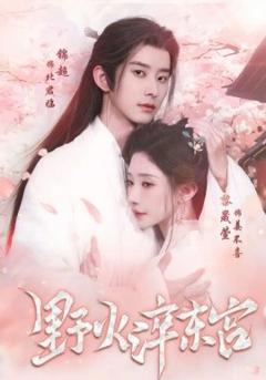 《野火淬东宫》