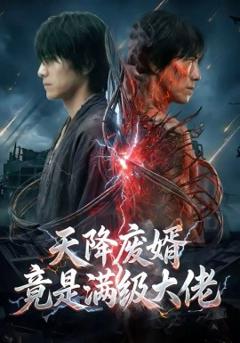 《天降废婿竟是满级大佬》