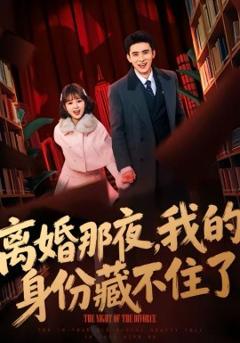 离婚那夜，我的身份藏不住了