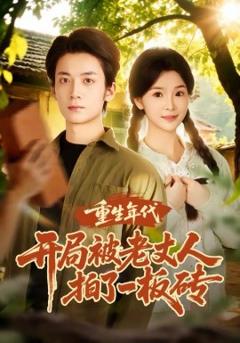 《重生年代开局被老丈人拍了一板砖》