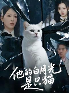 《他的白月光是只猫》