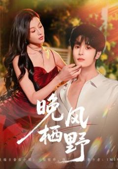 《晚风栖野》
