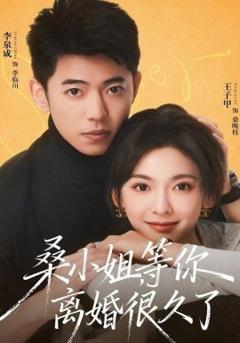 《桑小姐，等你离婚很久了》