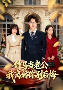 《竹马当老公，我离婚你别后悔》