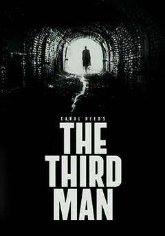 《第三人[电影解说]》