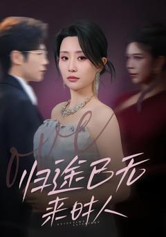 归途已无来时人