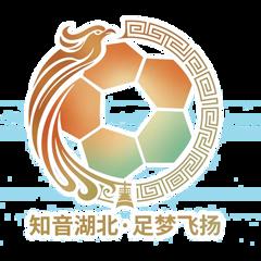 湖北省城市足球联赛 天门衣尚队VS孝感孝傲江湖队20260425