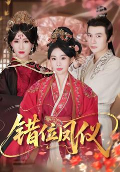《错位凤仪》