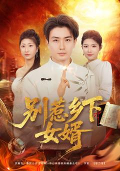 别惹乡下女婿