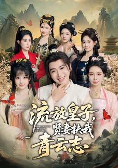 流放皇子，贤妻扶我青云志