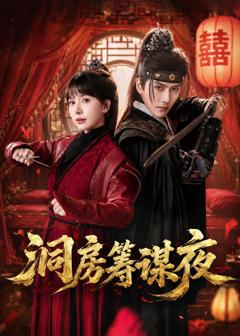 《洞房筹谋夜》