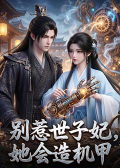 别惹世子妃，她会造机甲