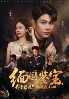 《缅国鉴宝，我老婆是帮派大小姐》