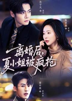 《离婚后，夏小姐被疯抢》