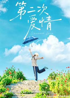 《第二次爱情》
