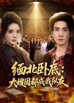 《缅北卧底：大嫂团都成我队友》