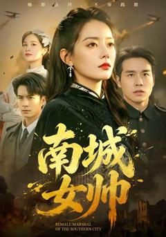 《南城女帅》