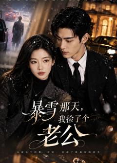 《暴雪那天，我捡了个老公》