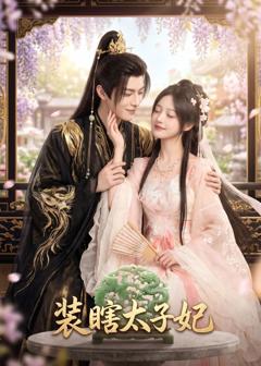 《装瞎太子妃》