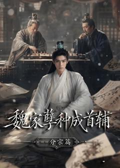 《魏家孽种成首辅分宗篇》